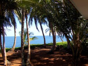 722 image ed5ed5c0e6.jpg 1360 1100 300x226 - Home